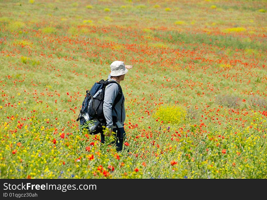 Happy hiker on a blooming poppy field. Happy hiker on a blooming poppy field