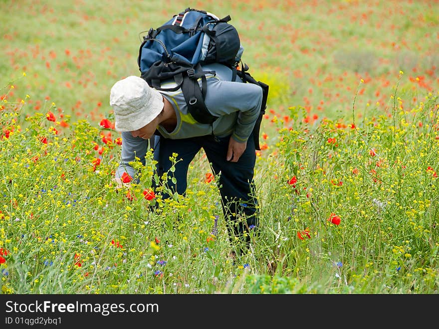 Happy hiker on a poppy field