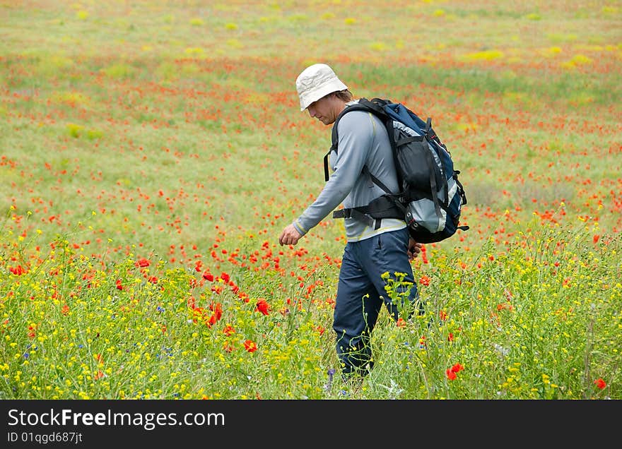 Happy hiker on a poppy field