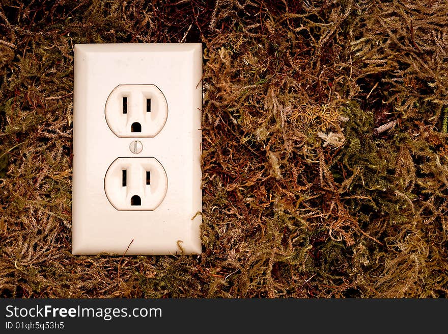 An horizontal image of an American power outlet on a moss background and space for copy. An horizontal image of an American power outlet on a moss background and space for copy