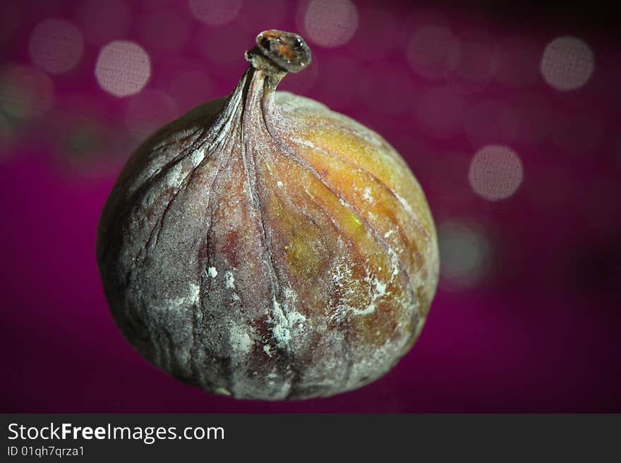 Fig on purple background