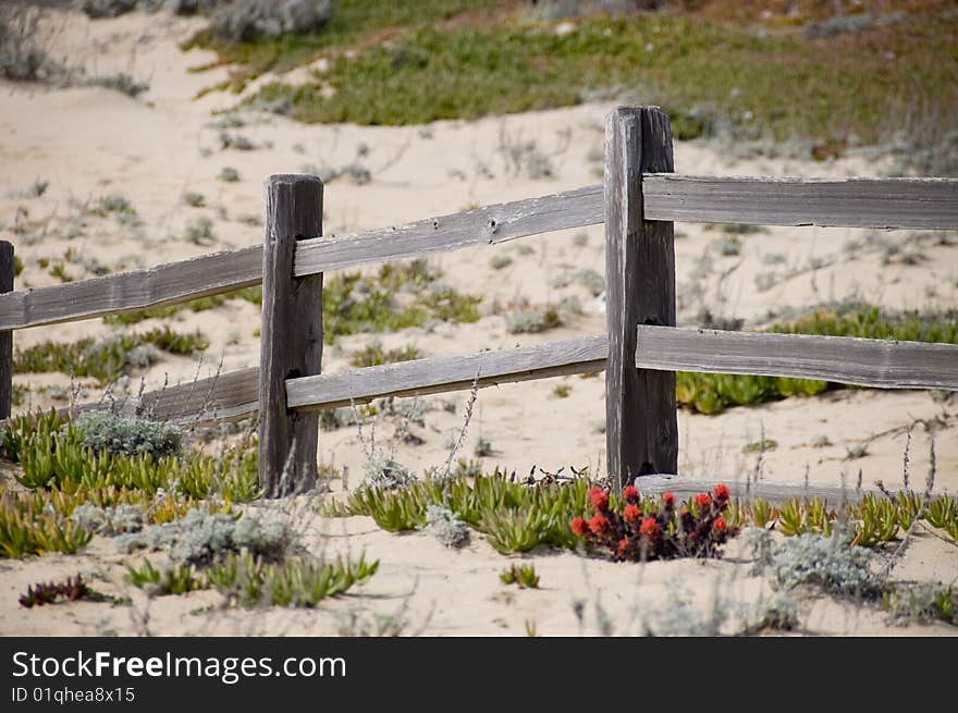 Gray fence