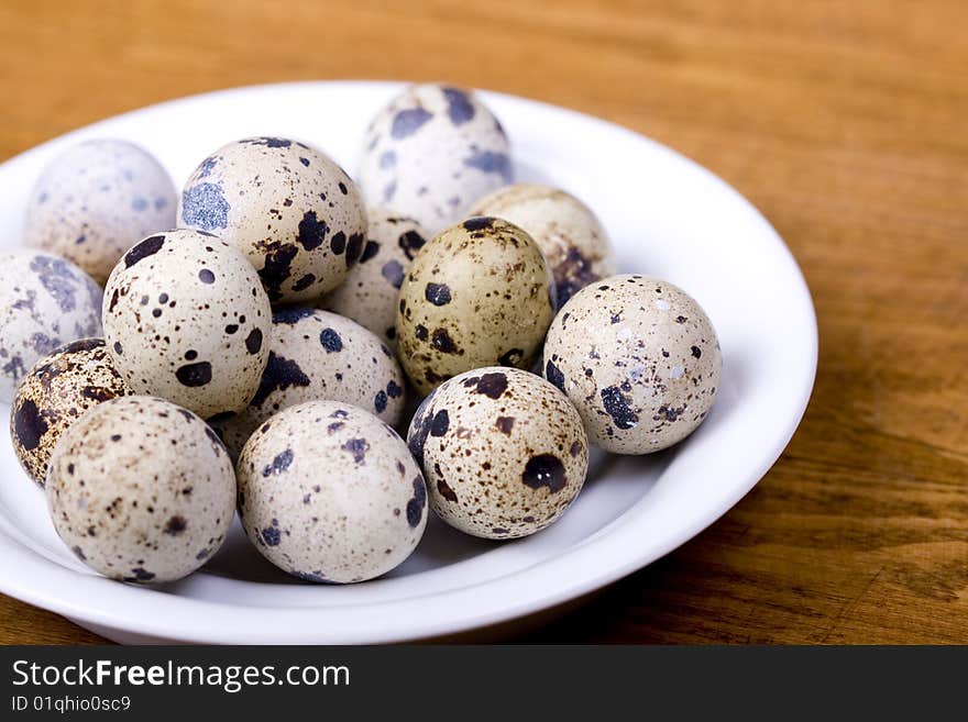 Partridge Eggs