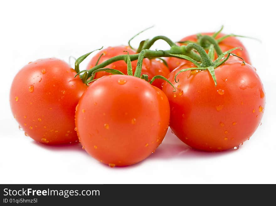 Tomatos