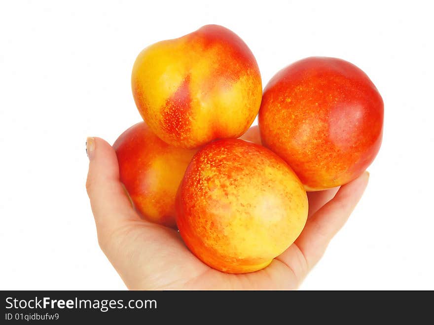 Some big fresh nectarines in the human arm isolated on the white. Some big fresh nectarines in the human arm isolated on the white.