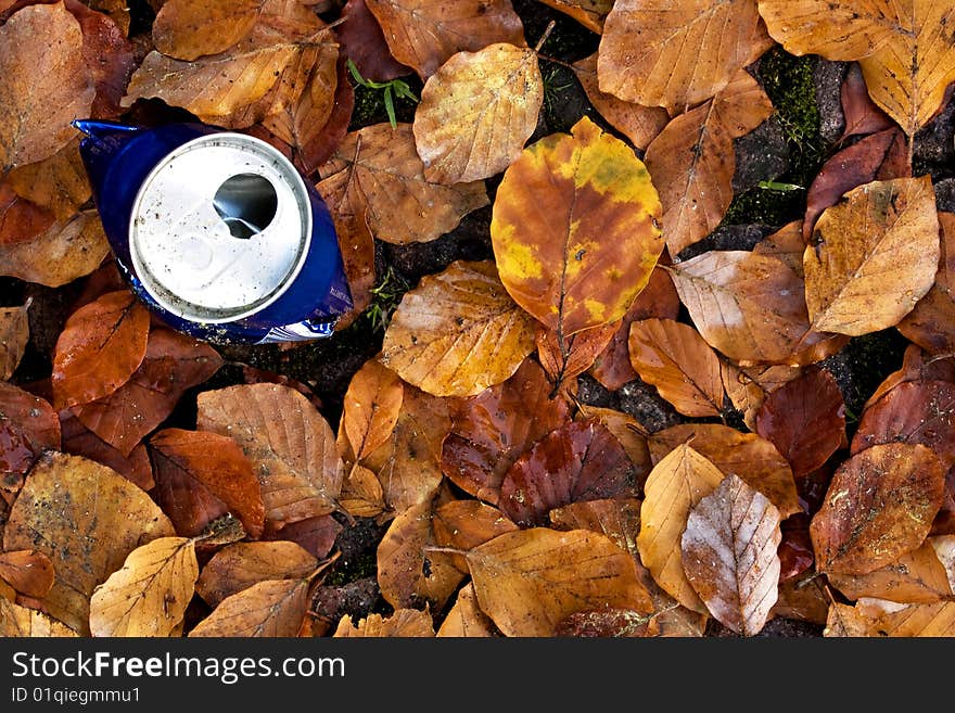 Can of soda left in the leaves. Can of soda left in the leaves