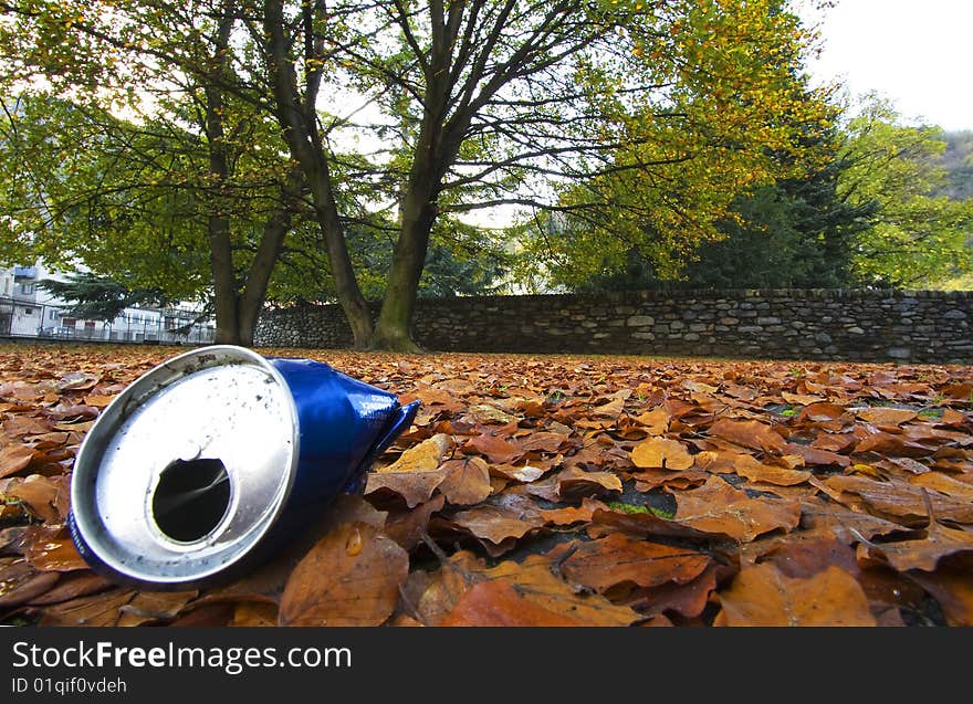 Can of soda left in the leaves. Can of soda left in the leaves