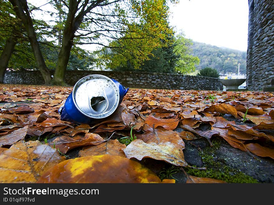 Can of soda left in the leaves. Can of soda left in the leaves