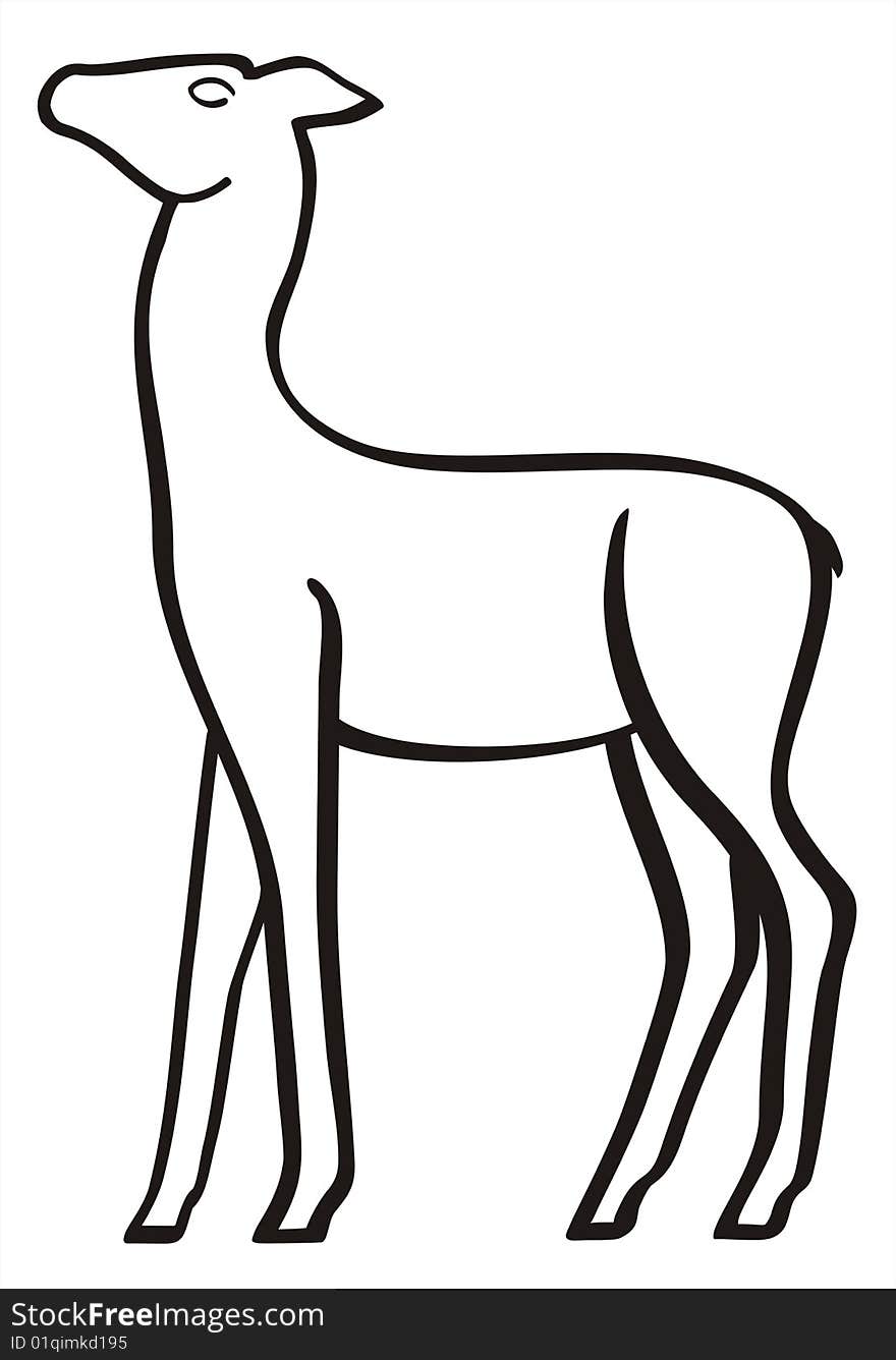 The drawing of young deer