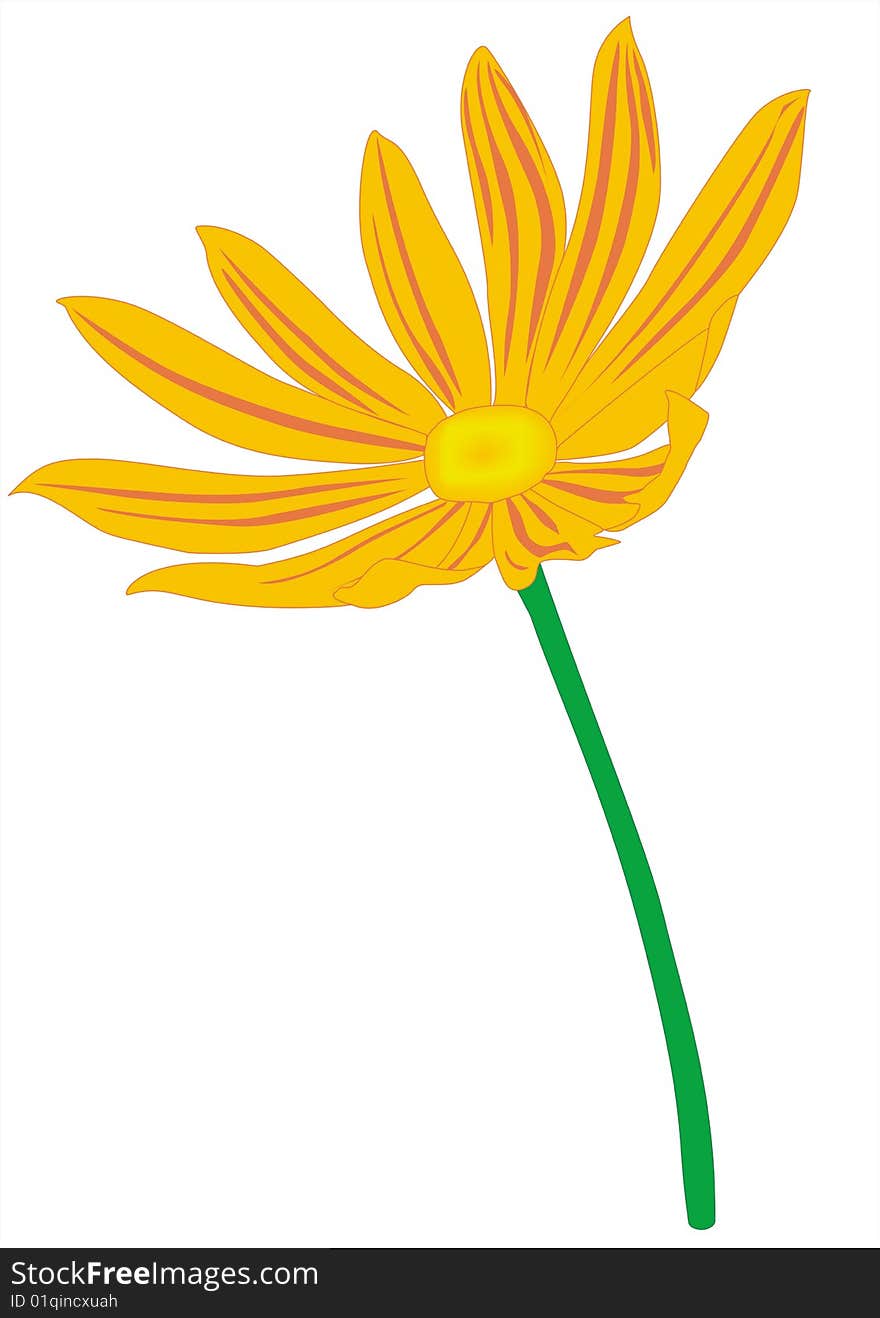 The lone yellow-orange flower