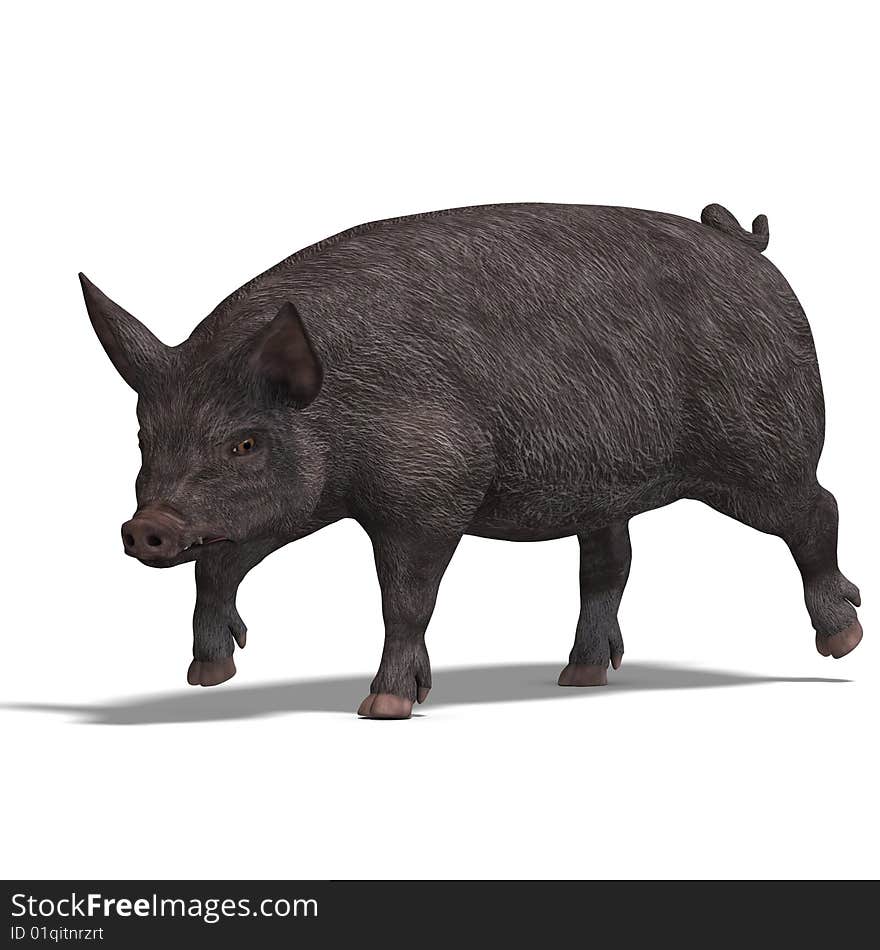 Pig render