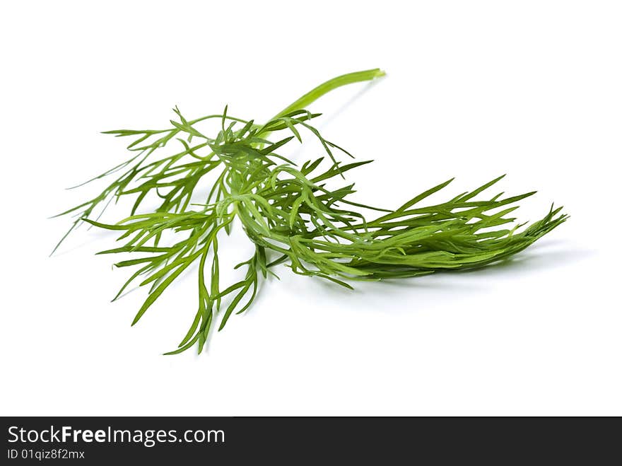 Sprig Of Fresh Dill