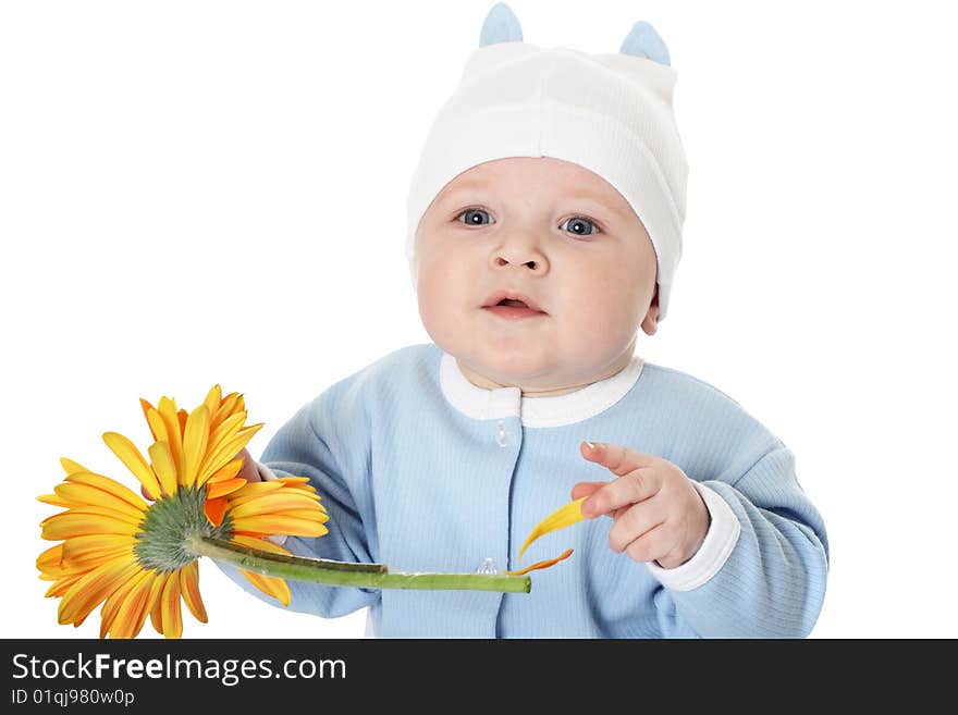 Cute baby boy on white background