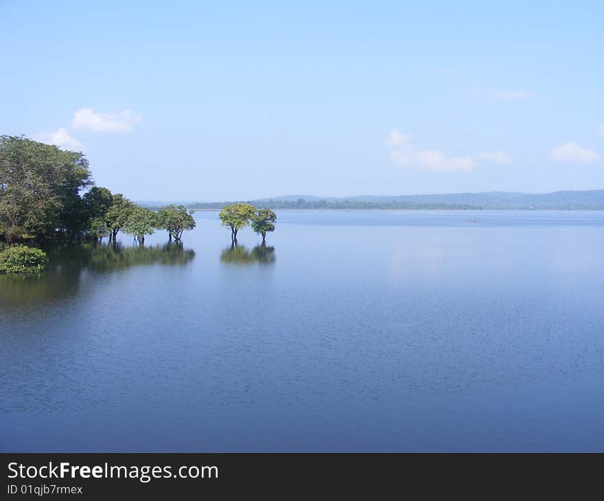 Natural palsess in sri lanka. Natural palsess in sri lanka