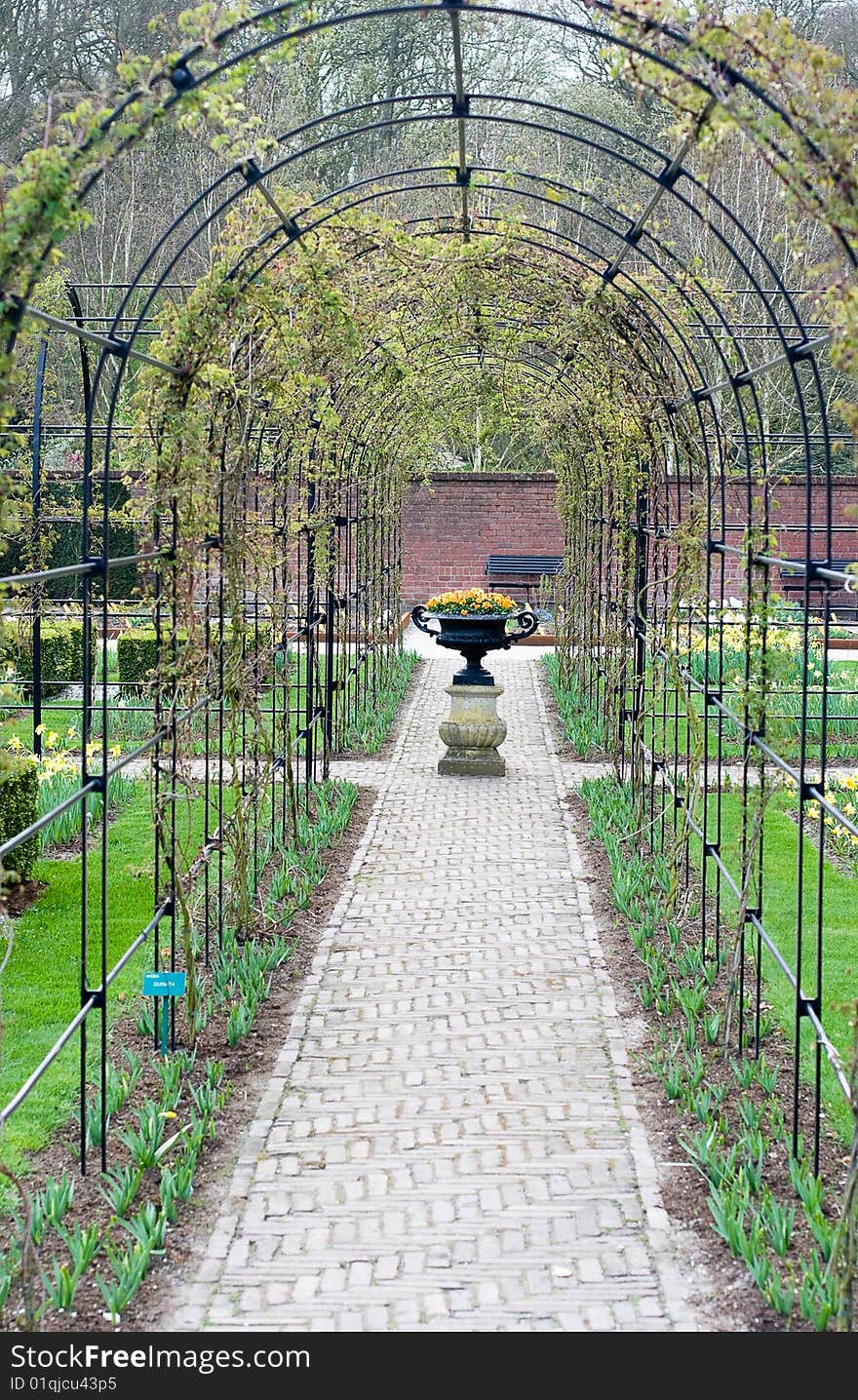 Nice corner of Keukenhoff gardens, Netherlands