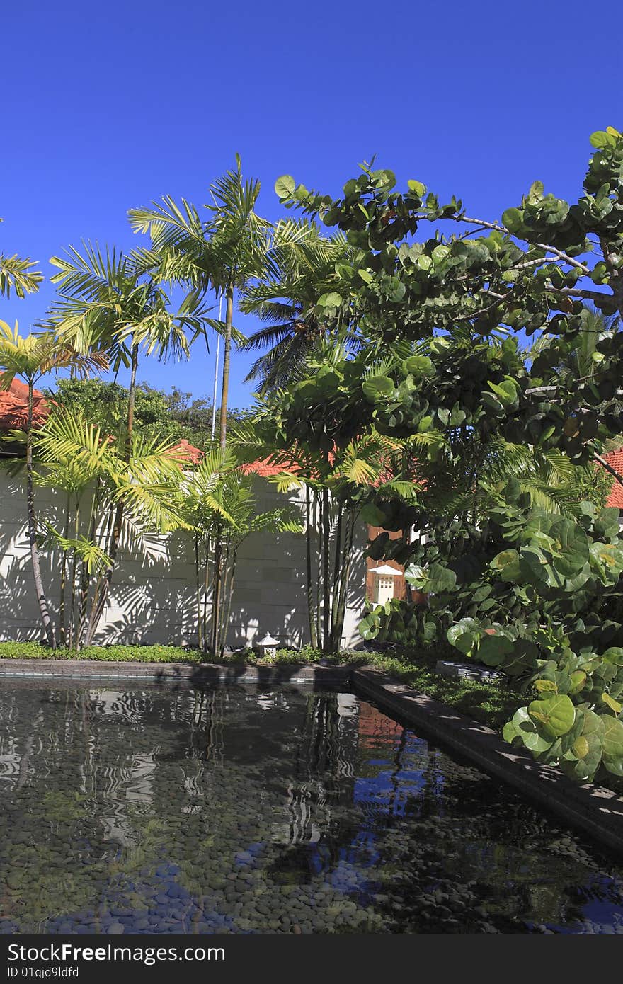 Beautiful spa surrounded by a pool in lush tropical background. Beautiful spa surrounded by a pool in lush tropical background