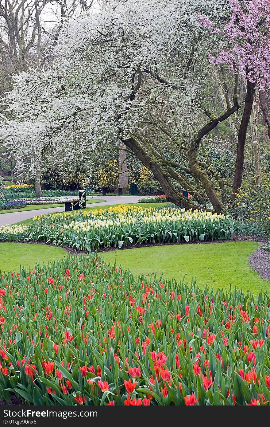 Keukenhoff gardens part, Lisse, Netherlands