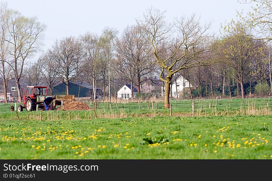 Farmer in a field in Oirschot, Netherlands. Farmer in a field in Oirschot, Netherlands