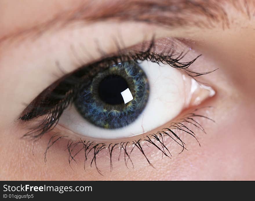 Close-up woman's eye (shallow DoF). Close-up woman's eye (shallow DoF)