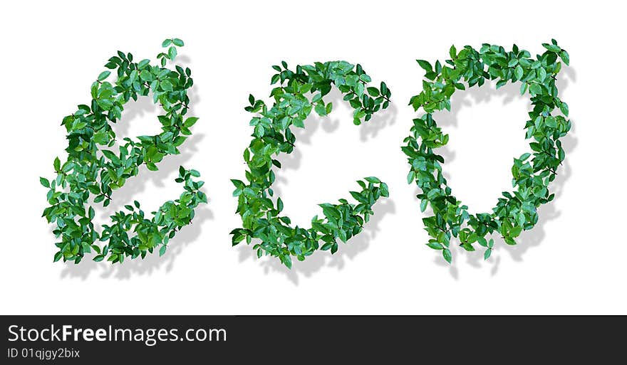 The word eco, made of green leaves. The word eco, made of green leaves