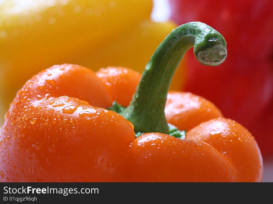 Bright colorful pepper with water drops. Bright colorful pepper with water drops