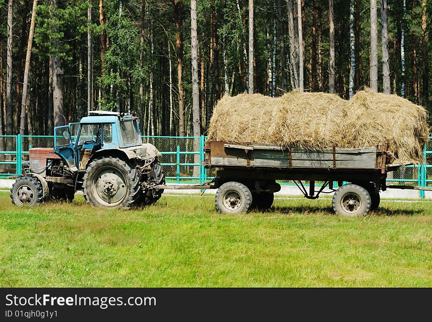 Haymaking