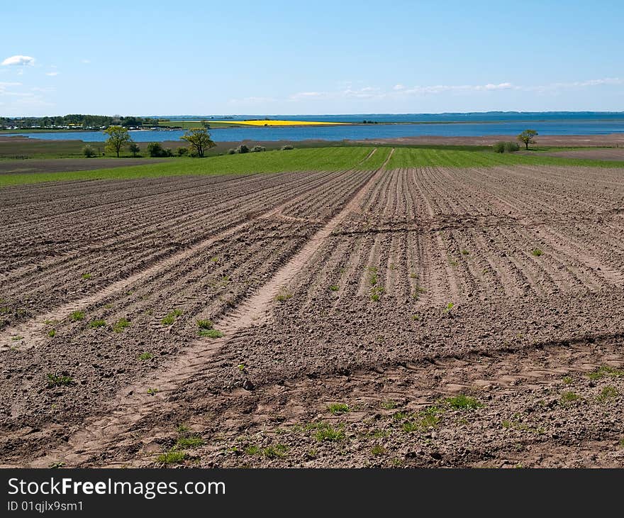 Agriculture plowed fields