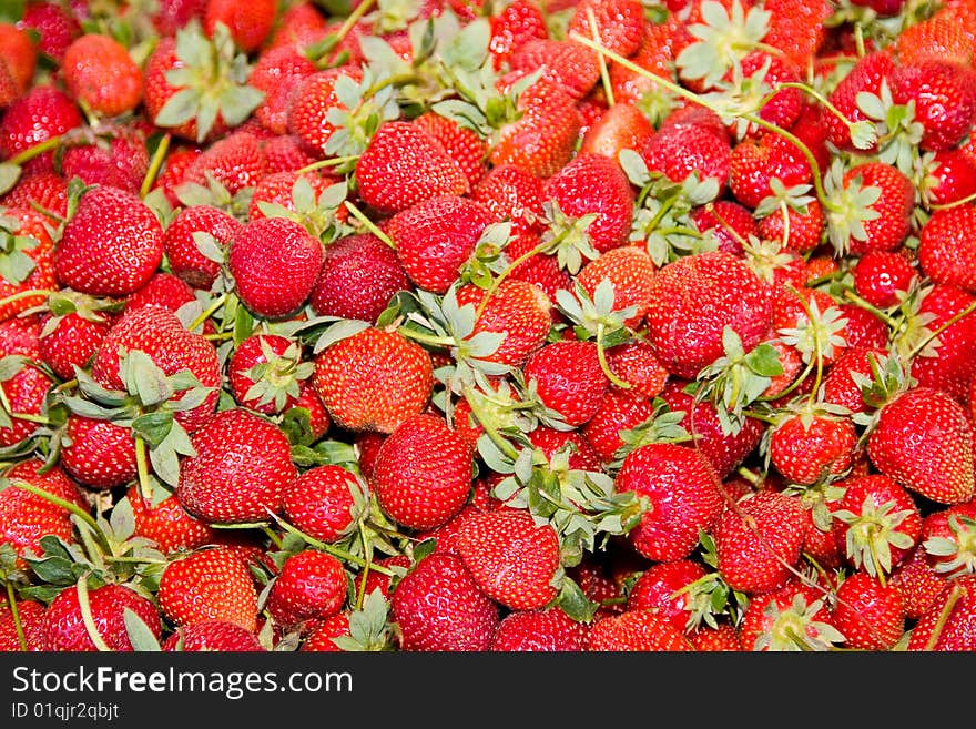 Close up of a group of fresh, succulent strawberries