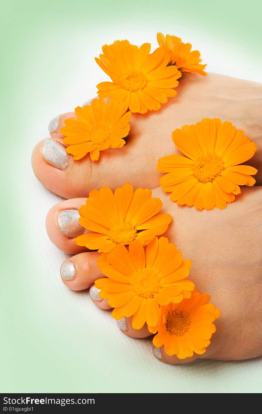 Woman feet and flower on white