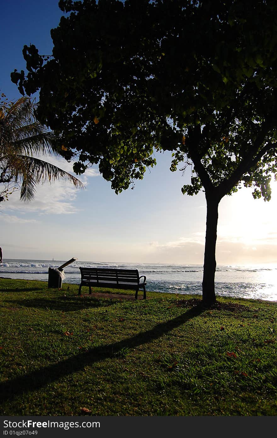 A bench and a tree standing together looking at the sunlight in the evening of Hawaii. taken at ala moana beach Hawaii. A bench and a tree standing together looking at the sunlight in the evening of Hawaii. taken at ala moana beach Hawaii.