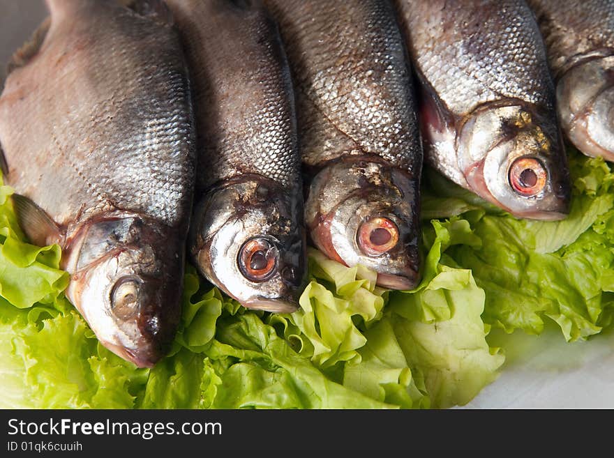 Fresh-water Fish