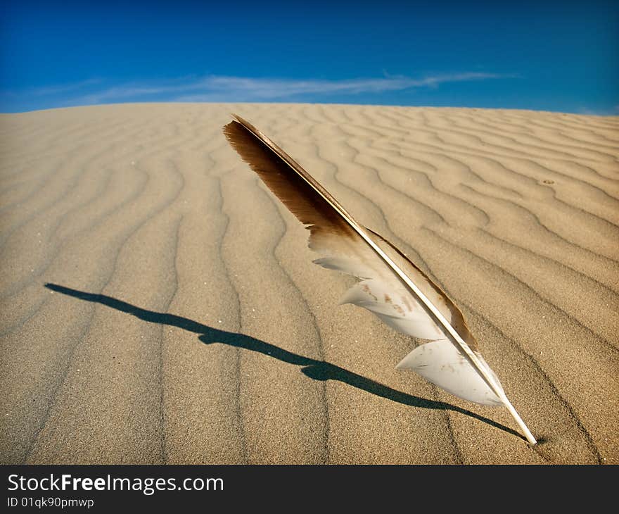 Desert landscape in the Sahara. Desert landscape in the Sahara