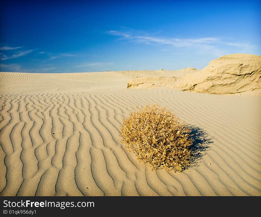 Desert landscape in the Sahara. Desert landscape in the Sahara