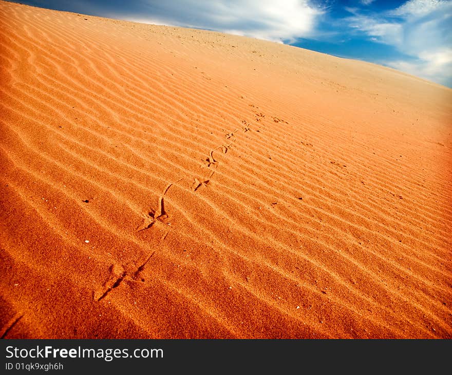 Desert landscape in the Sahara. Desert landscape in the Sahara