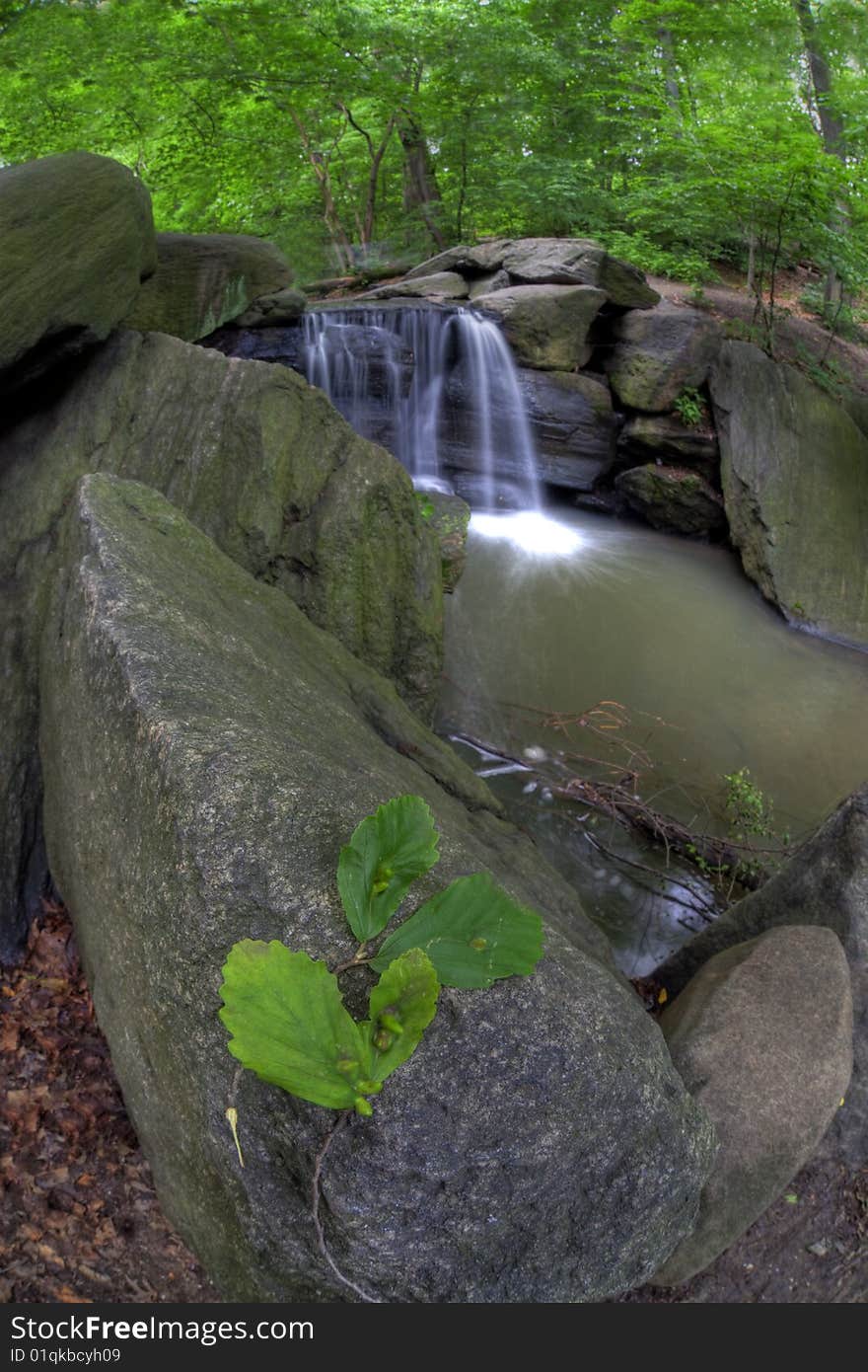 Central Park, New York City waterfall in Northwoods on a rainy day in June