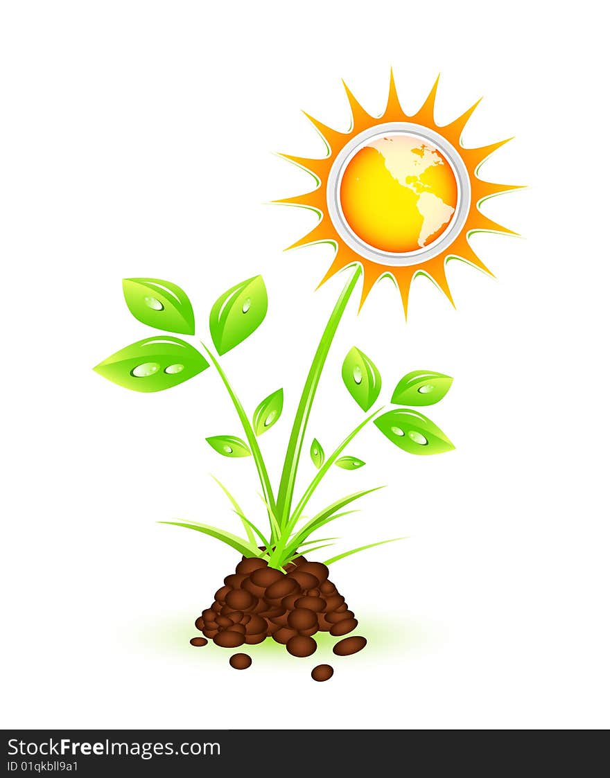 Vector illustration of beautiful plant with sun. Concept