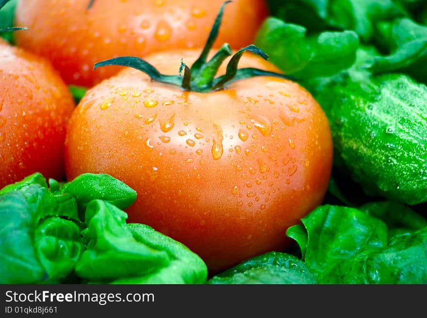 Tomato on a background of green vegetables