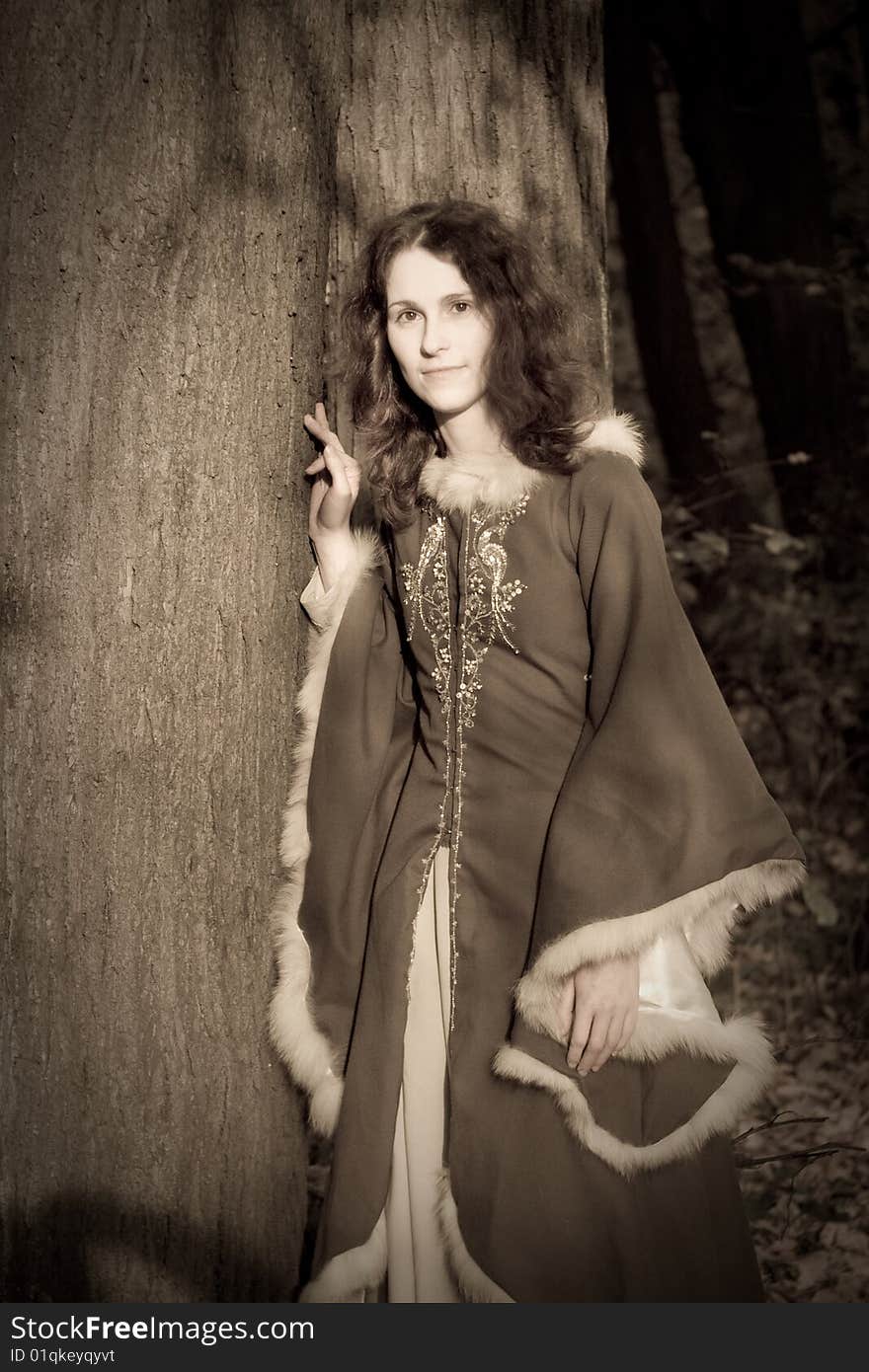 Lady in medieval dress in the forest. Lady in medieval dress in the forest