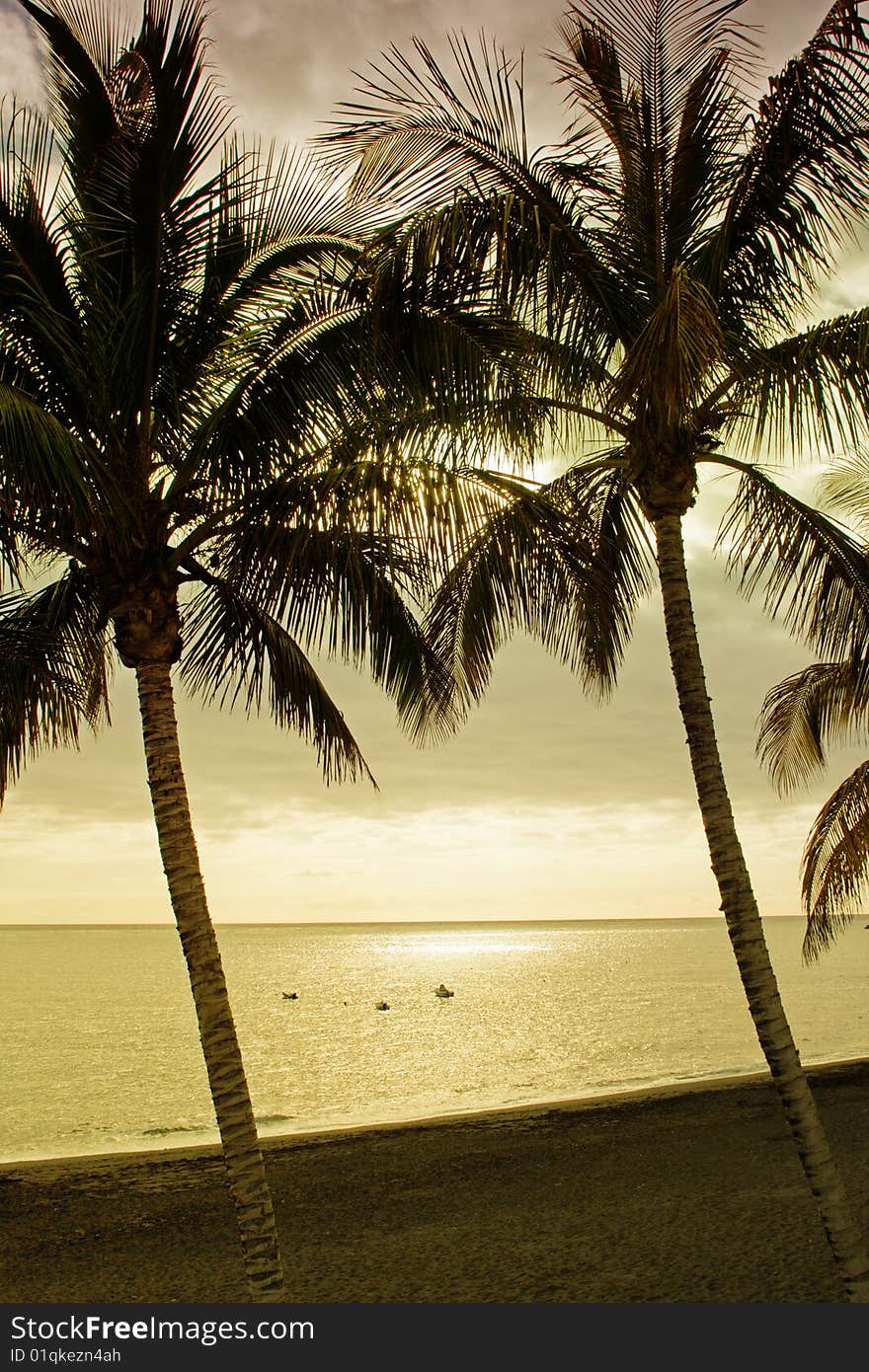 Late afternoon on the beach