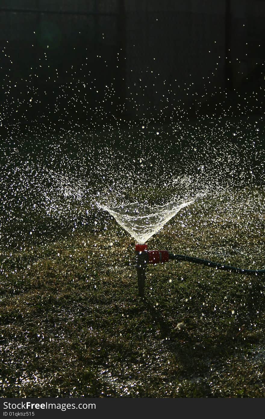 Drops of water on grass