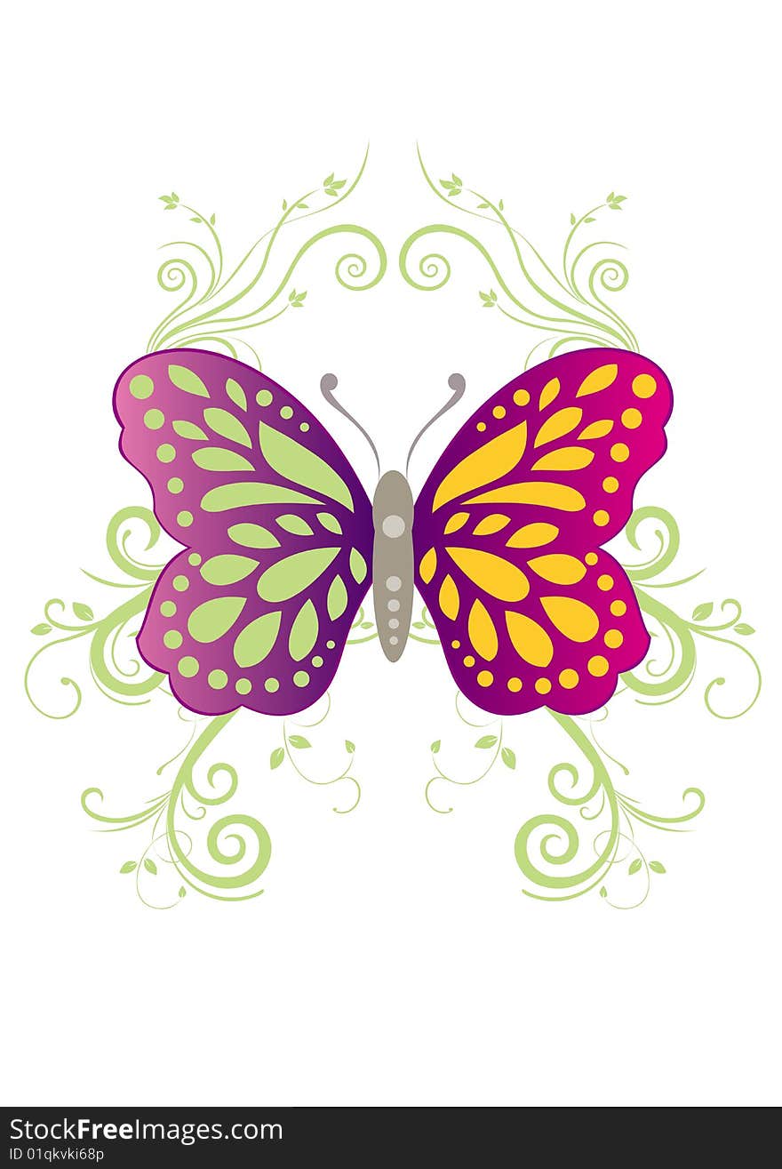 the white background of flowers and butterflies. the white background of flowers and butterflies