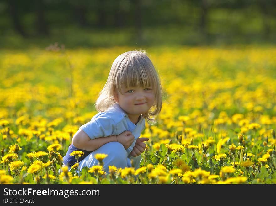 Boy 2,5 years, with long hair, sitting in a dandelion field. Boy 2,5 years, with long hair, sitting in a dandelion field