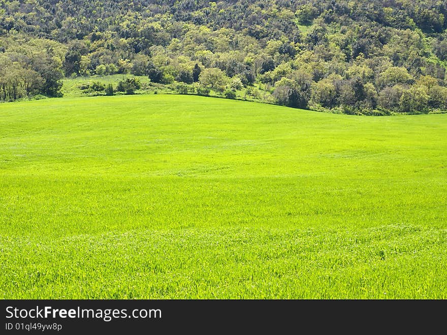 Green valley in sicilian hills - Italy  landscape. Green valley in sicilian hills - Italy  landscape