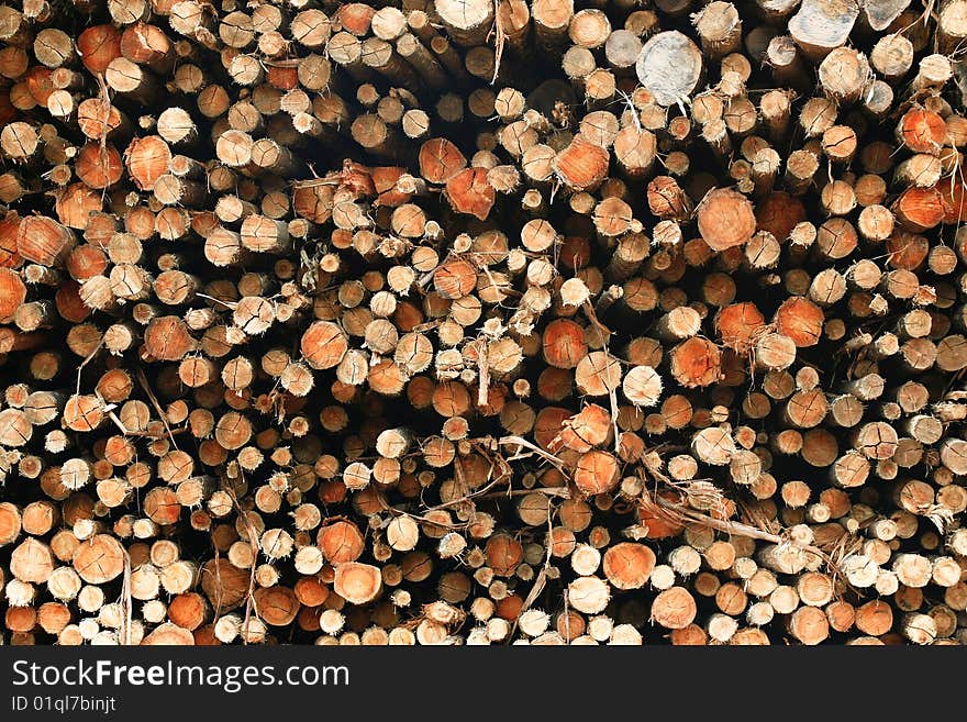 Cut logs stacked for industries. Cut logs stacked for industries