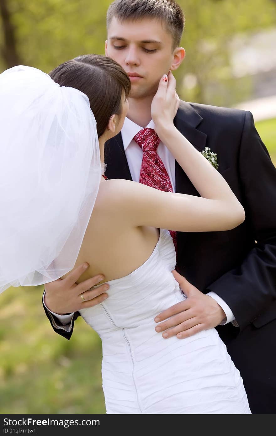 Colorful wedding shot of bride and groom kissing. Colorful wedding shot of bride and groom kissing