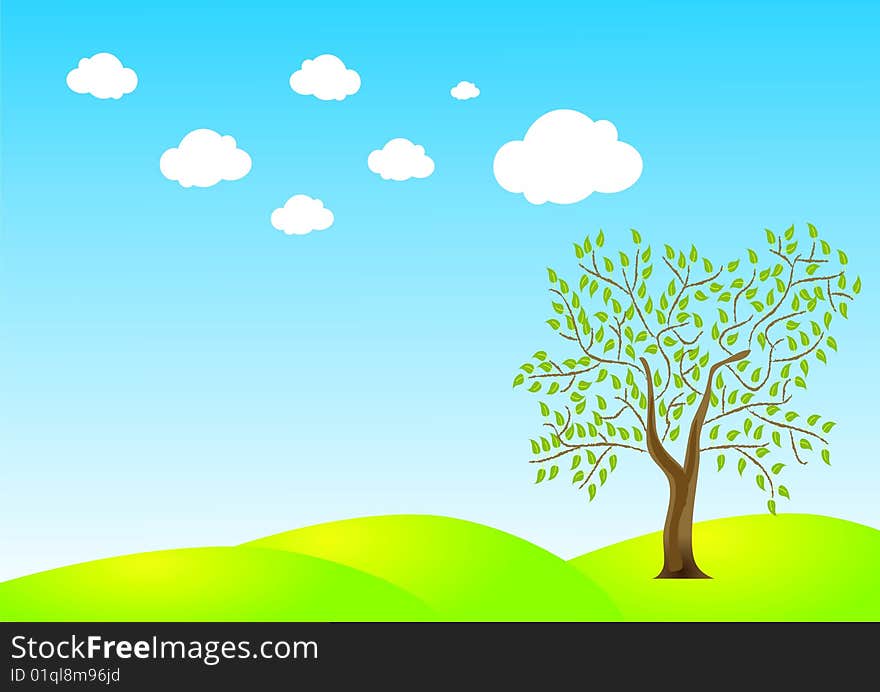 Lonely tree on the grass with blue sky