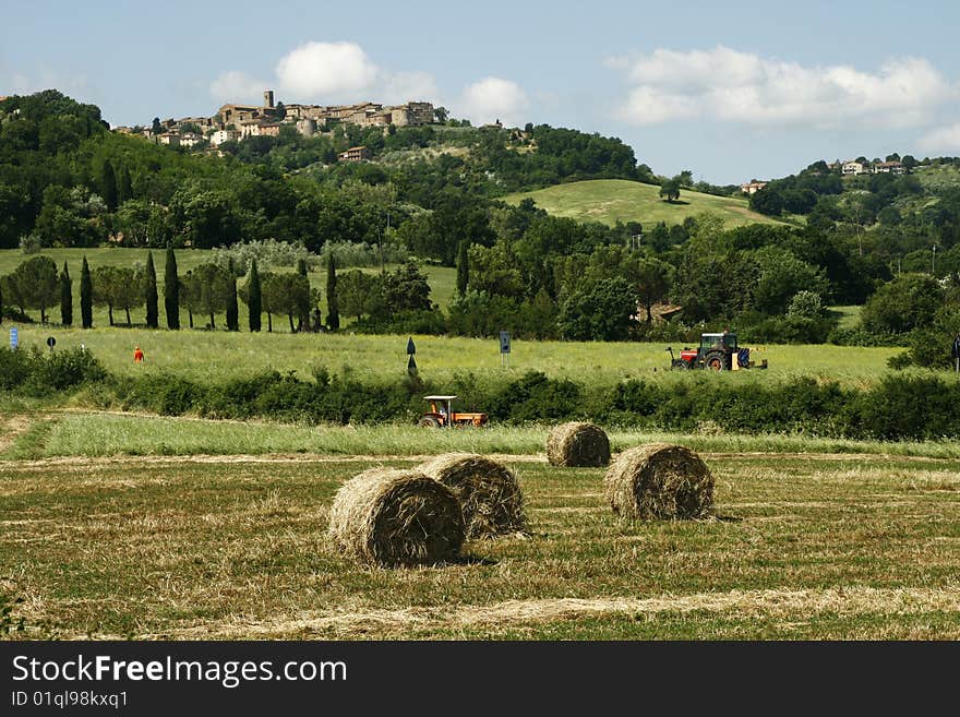 Some Hay bales on a meadow in Tuscany in italy. Some Hay bales on a meadow in Tuscany in italy