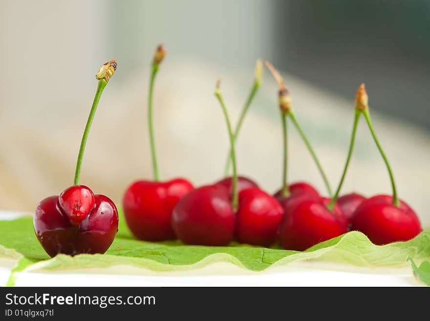 Fresh sweet cherry lies on green leaf