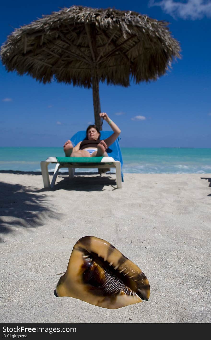 Coquilage on the beach over woman laying on deckchair, blue sea and blue sky. Coquilage on the beach over woman laying on deckchair, blue sea and blue sky