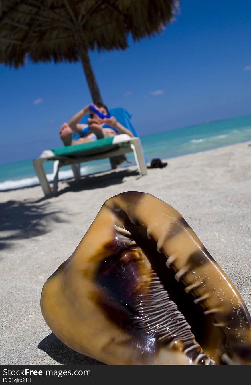 Coquilage on the beach over woman laying on deckchair, blue sea and blue sky. Coquilage on the beach over woman laying on deckchair, blue sea and blue sky